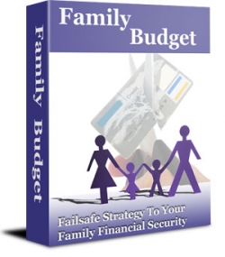 Family Budget Failsafe Strategy
